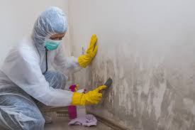 Forensic Mold Investigation in Delphos, OH